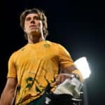 Dewald Brevis