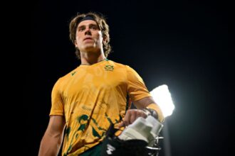 Dewald Brevis