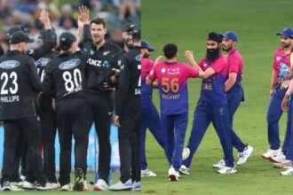 NZ vs UAE