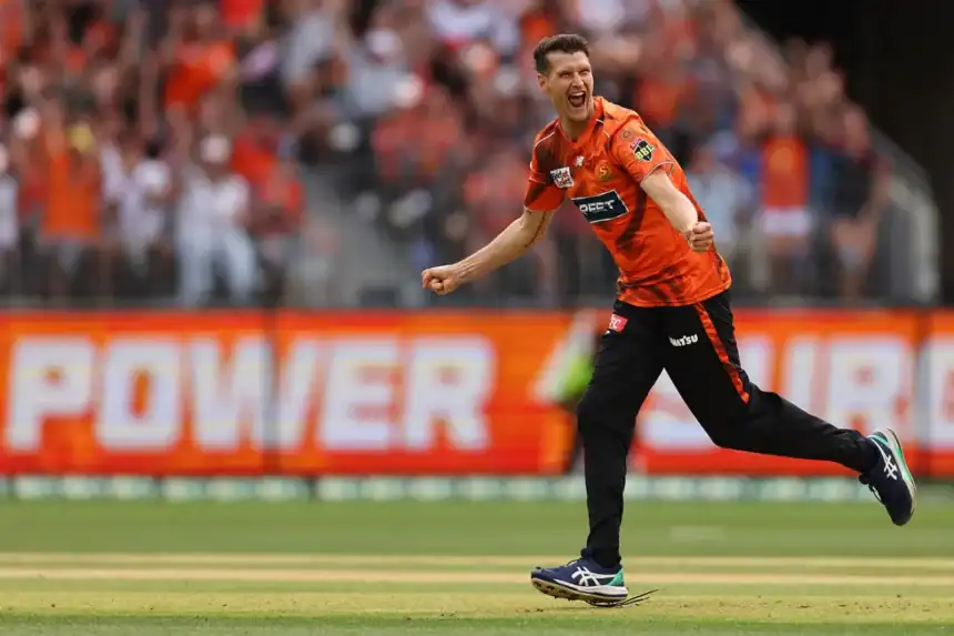 SRH sign David Payne to replace Jack Edwards