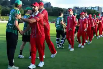 NZC backs NZ20 as new domestic T20 league